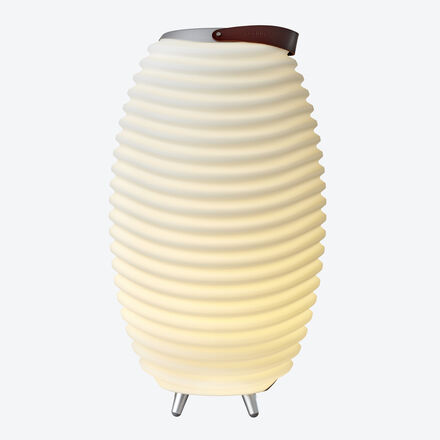 Image du produit pour 'Petit modle : lampe  haut-parleurs au son impressionnant et  lumire d'ambiance rglable'