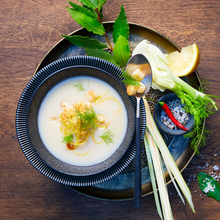 Image du produit pour 'Soupe de fenouil et citronnelle avec gnocchetti  la ricotta'